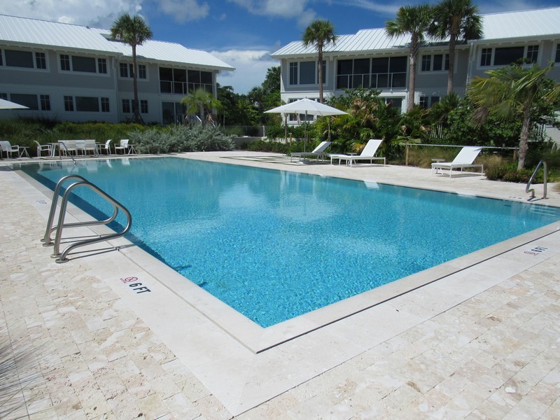 Swimming Pool View